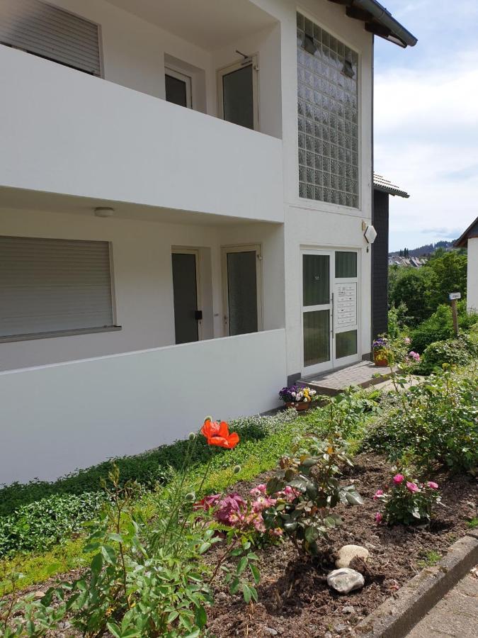 Appartement Guenninghauser Strasse 6 - 4 Winterberg Ngoại thất bức ảnh